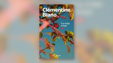 Un éclat rouge – Clémentine Biano